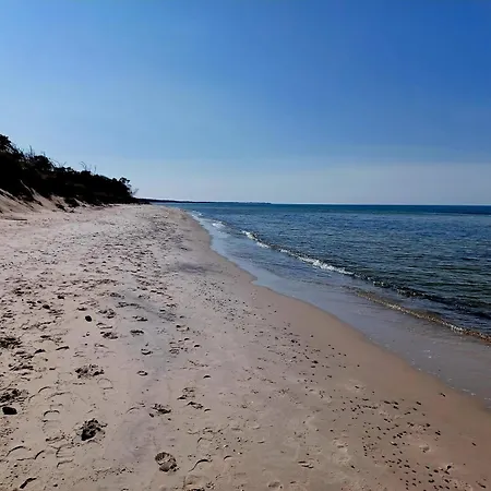 Kastanie - Ulenhoef *