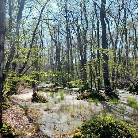 Kastanie - Ulenhoef 公寓 *